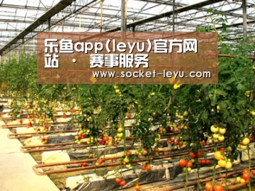 种植基地二(图1)
