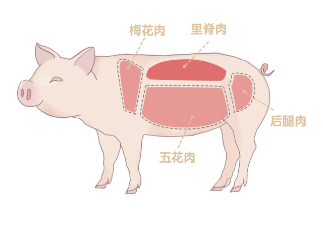 《激情广场》走进衡阳 刘媛媛唱《国家》送祝福:leyu官网(图4) 乐鱼体育