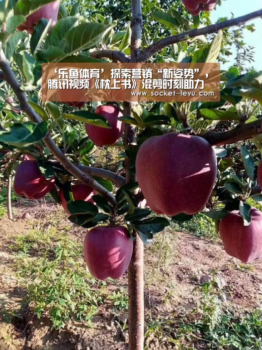 ‘乐鱼体育’探索营销“新姿势”,腾讯视频《枕上书》混剪时刻助力品牌营销致胜(图2) leyu官网